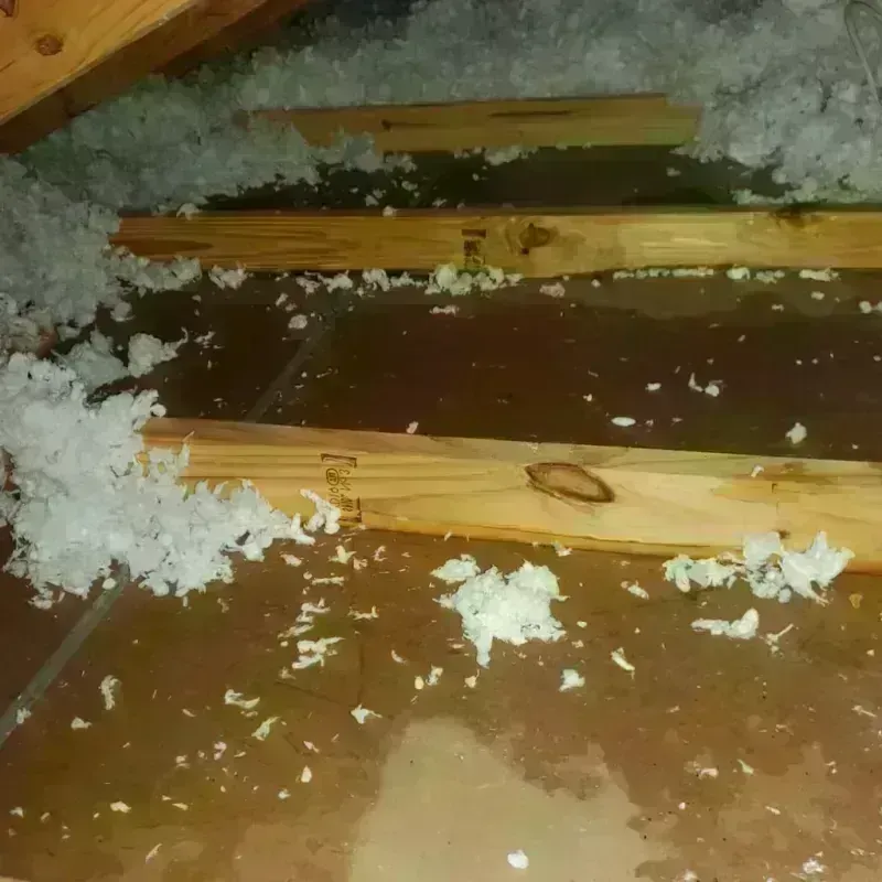 Attic Water Damage in Broadmoor, CA