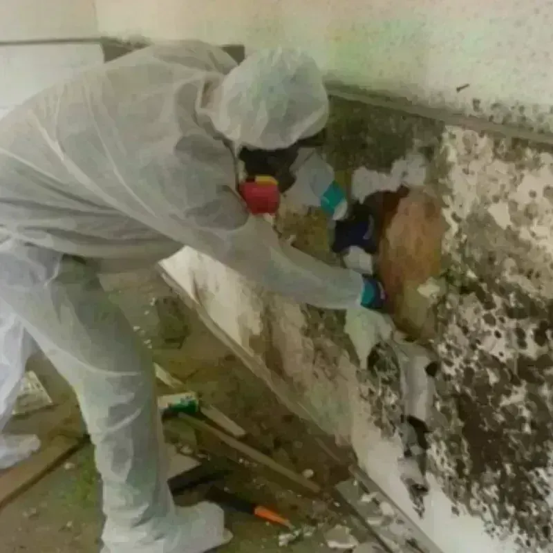 Best Mold Remediation and Removal Service in Broadmoor, CA